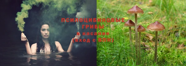 каннабис Алексин