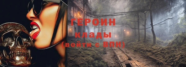 индика Арсеньев